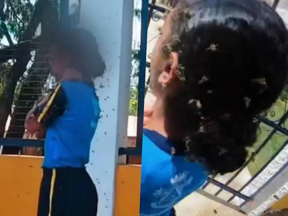 Motoboy que salvou menina de ataque de abelhas ganha carro e moto